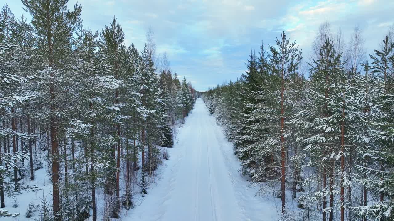 Dronevideo over en vej, der løber gennem den arktiske skov om vinteren.