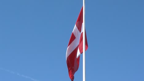 flag of denmark in summer on sams?