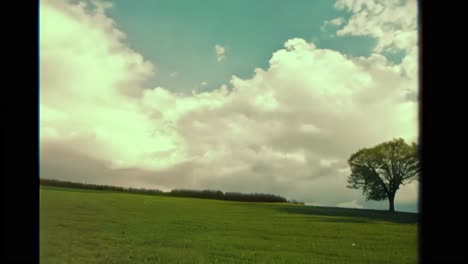 einsamer baum in einem feld mit blauem himmel und weißen wolken