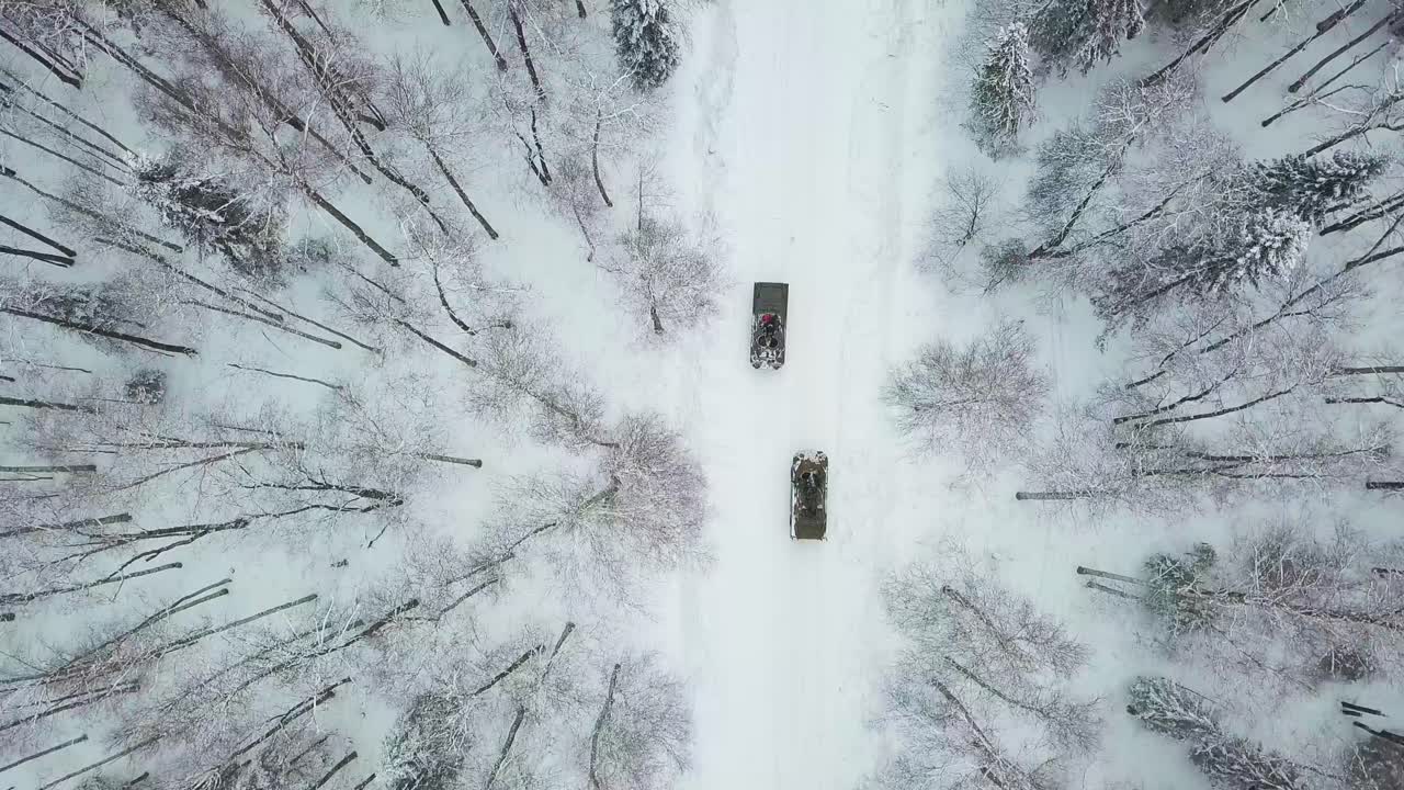 차량과 함께 겨울 숲 도로