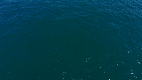 Overhead-shot-of-a-"Luzzu"-–-a-traditional-Maltese-boat-crossing-the-harbour-of-Valletta,-Malta