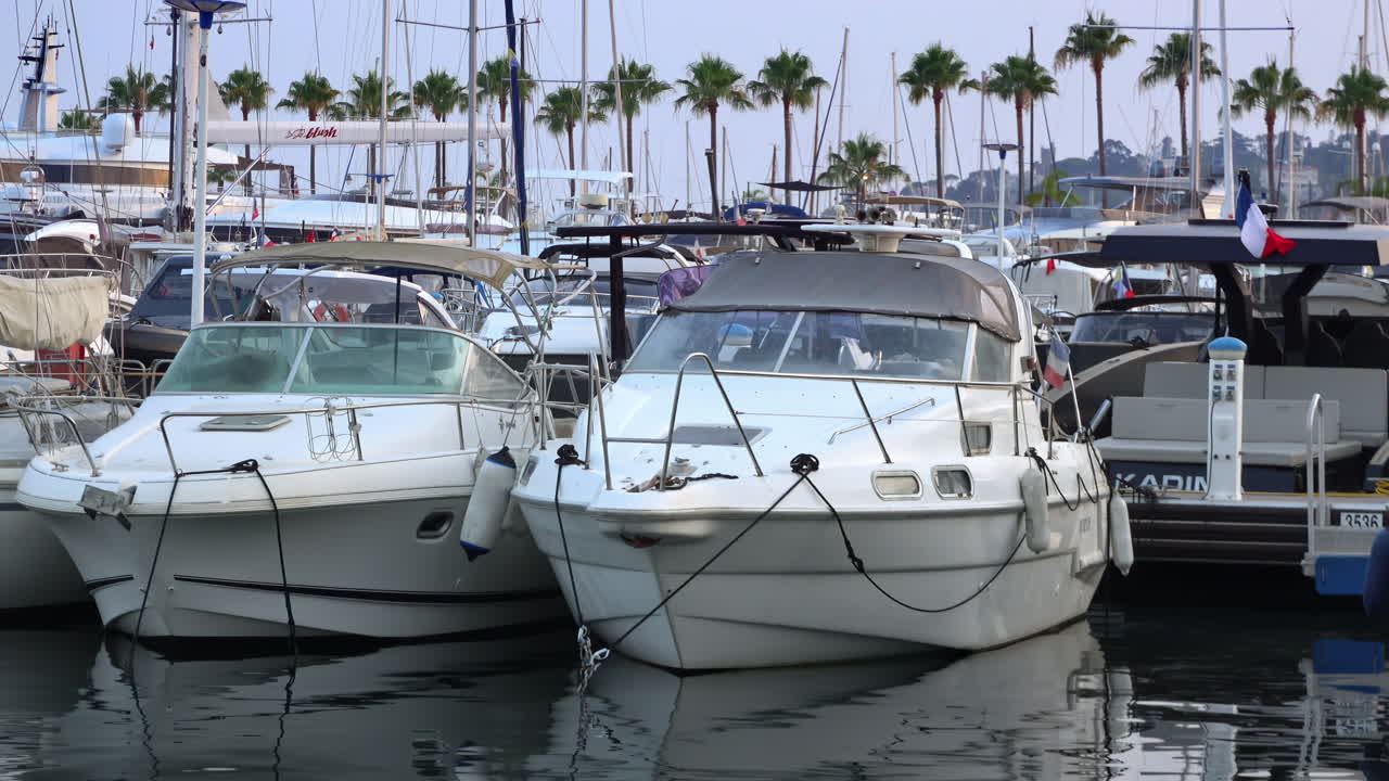 Barche bianche ormeggiate nel porto di Golfe-Juan, Francia, di sera