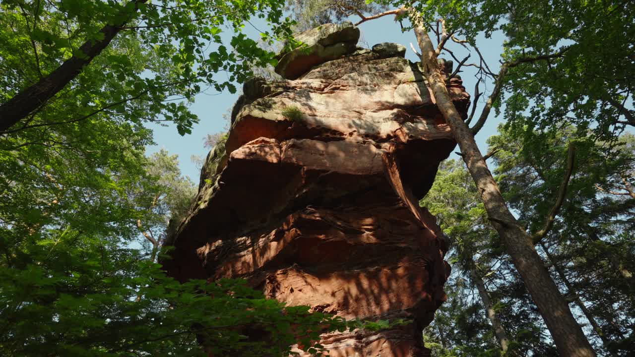 fotografía en bajo ángulo de una torre de piedra arenisca roja rodeada de bosques, altschlossfelsen, alemania