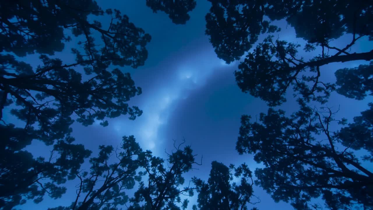 Plující bledé halo se pohybuje po modré obloze z pohledu ze země, jemný vánek pohupuje korunami stromů.