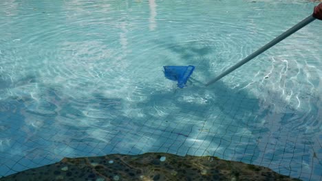 person methodically skimming pool with a blue net