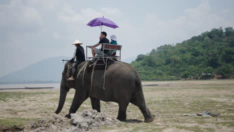 tourists riding on an elephant