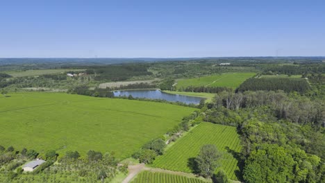 beautiful aerial landscape on tea plantation with blue lake in misiones, argentina