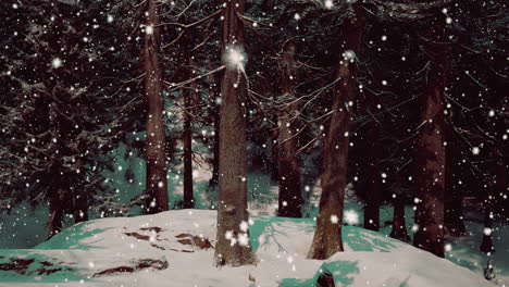 snowy forest at night