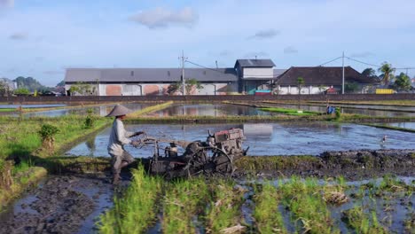 Campos-De-Arroz-Con-Un-Pequeño-Tractor-Arado-Cerca-De-La-Aldea-De-Seseh-En-Bali,-Indonesia.