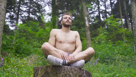 atleta masculino en el bosque.
