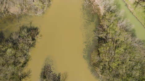 Top-down-shot-exploring-the-green-polluted-Middle-Fork-White-River-during-spring