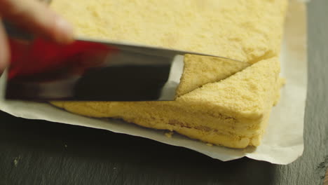 closeup knife cutting cake napoleon in slow motion.