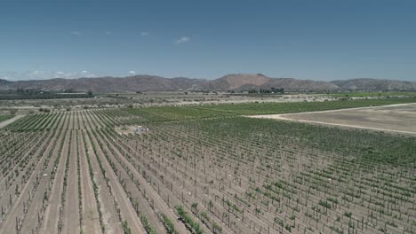 aerial shot of a vineyard in the valle de guadalupe