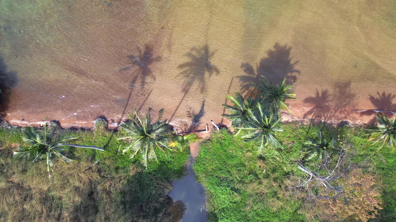 길을 잃다 외로운 필사적