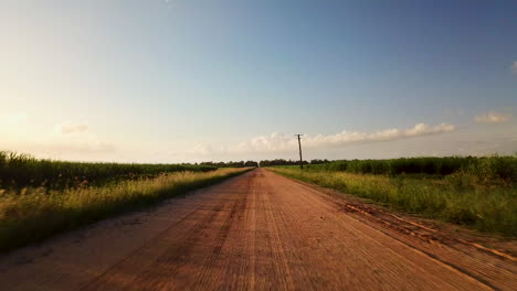 Drone-flying-low-and-straight-along-centre-of-dirt-road-surrounded-by-lush-green-sugarcane-fields