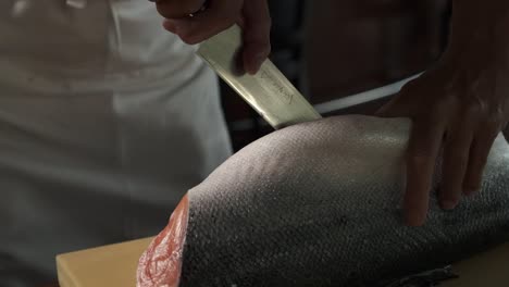 chef preparing fresh salmon in the kitchen