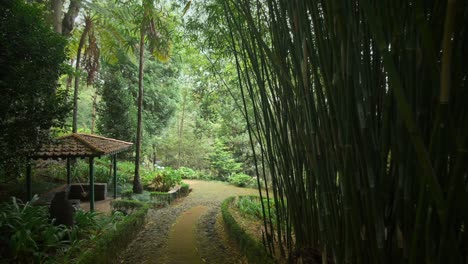 Footage-filmed-in-Madeira-Portugal-at-Monte-Palace-tropical-garden