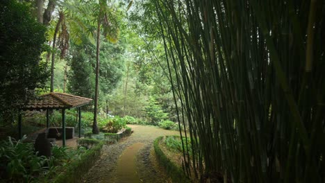 las imágenes fueron filmadas en madeira, portugal, en el jardín tropical de monte palace.