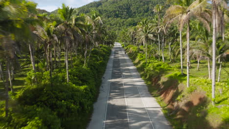 coconut road siargao island, philippines