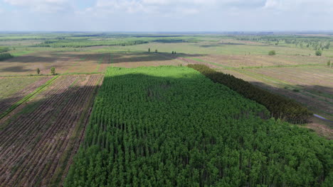 aerial view of a deforested farmland with green plantations and brown soil.