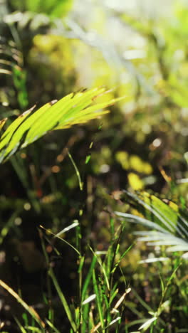 close up de hojas verdes en un bosque tropical