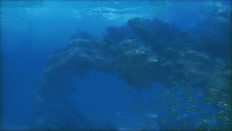 underwater scene with school of fish and coral reef