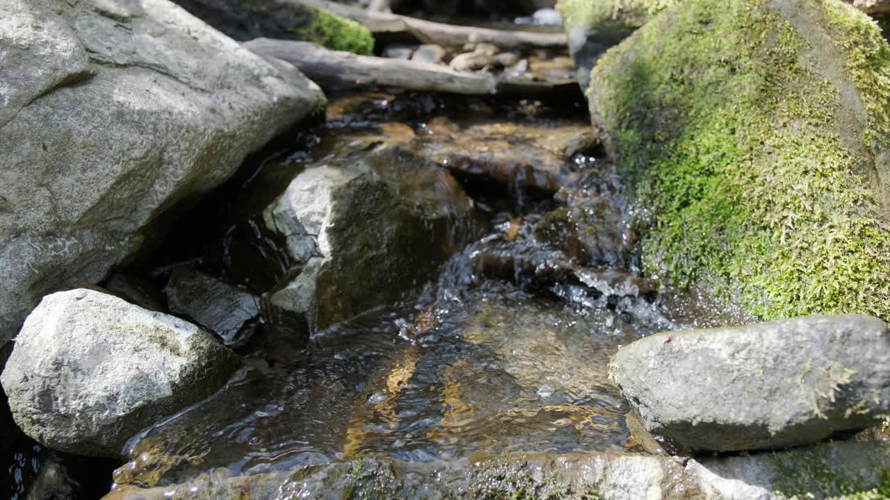 Stream flowing over moss stones