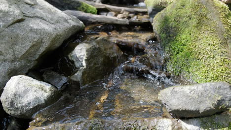 stream flowing over moss stones