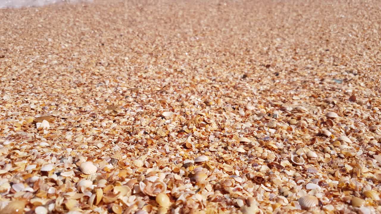 Beach from seashells of golden color, close-up