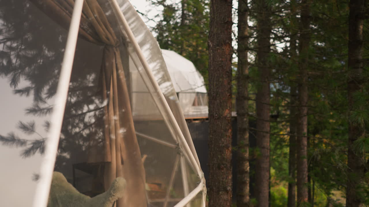 숲 속의 글램핑 하우스 (glamping house) 는 자연의 침을 즐기는 관광객을 위한 반투명한 숙박시설이다.