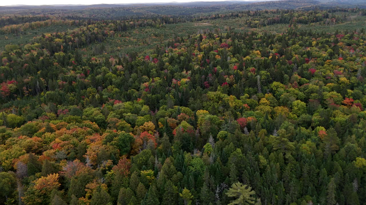 Cloudy aerial drone shot of a forest, lake, and river in autumn in Mauricie, Quebec, Canada. Soft light enhances the vibrant fall colors and peaceful natural landscape