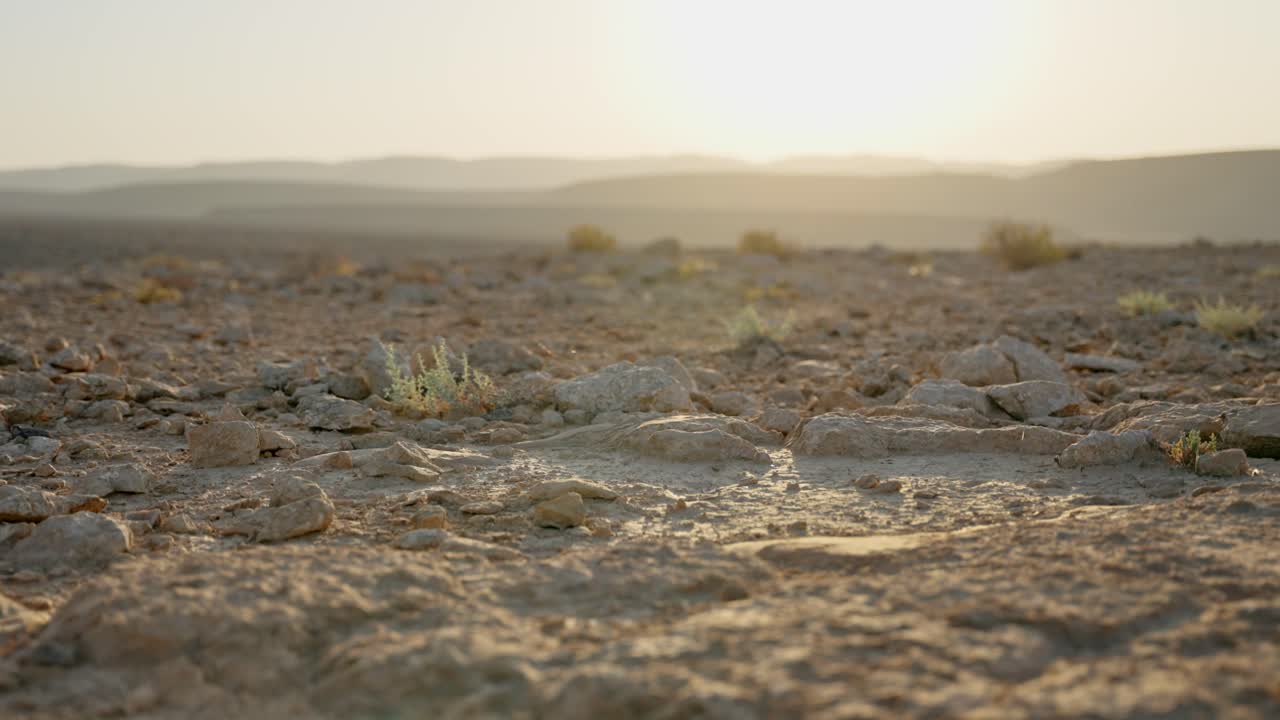 Hot desert terrain with tumbleweed rolling across frame in outdoor natural view. Dry day in barren emptiness wind blowing dead bush or thorn twig in sunset or sunrise light in vast open arid area