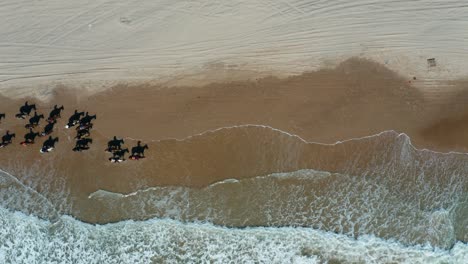 Riding-horses-on-the-ocean-shore,-top-down-aerial-of-large-group-of-equestrians-on-beach-in-South-Padre-Island,-Texas