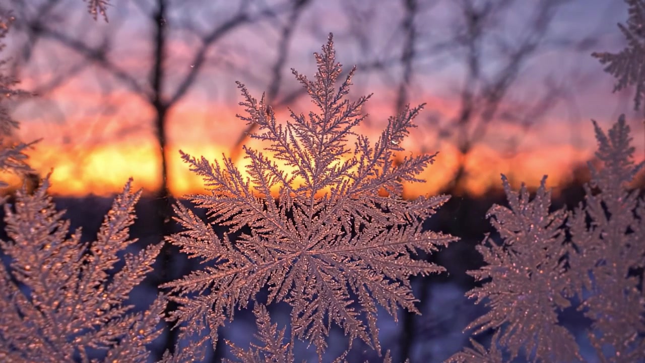 En fascinerende vintersolnedgang: Frostklare vinduesruder reflekterer skumringens levende farver med indviklede iskrystaller og naturens fredfyldte skønhed.