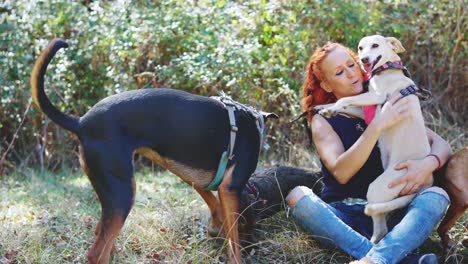woman playing with multiple dogs outdoors