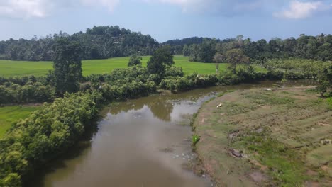 Drone-shot-flying-over-river-in-countryside-of-Sri-Lanka