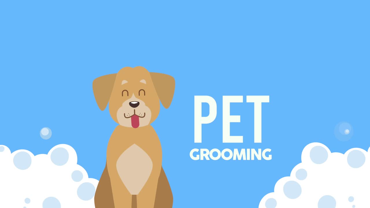 반려동물 정리 서비스 글과 구름에 앉아있는 개