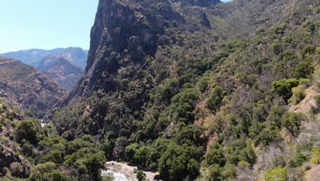 vista aérea del cañón de los reyes, vibrante con exuberante vegetación, bajo el sol californiano, destacando el majestuoso río de los reyes
