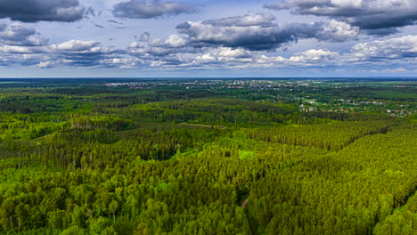 an immersive aerial timelapse flies forward over an endless green forest canopy under a partly cloudy sky, revealing a distant city on the horizon in the vast latvian landscape.