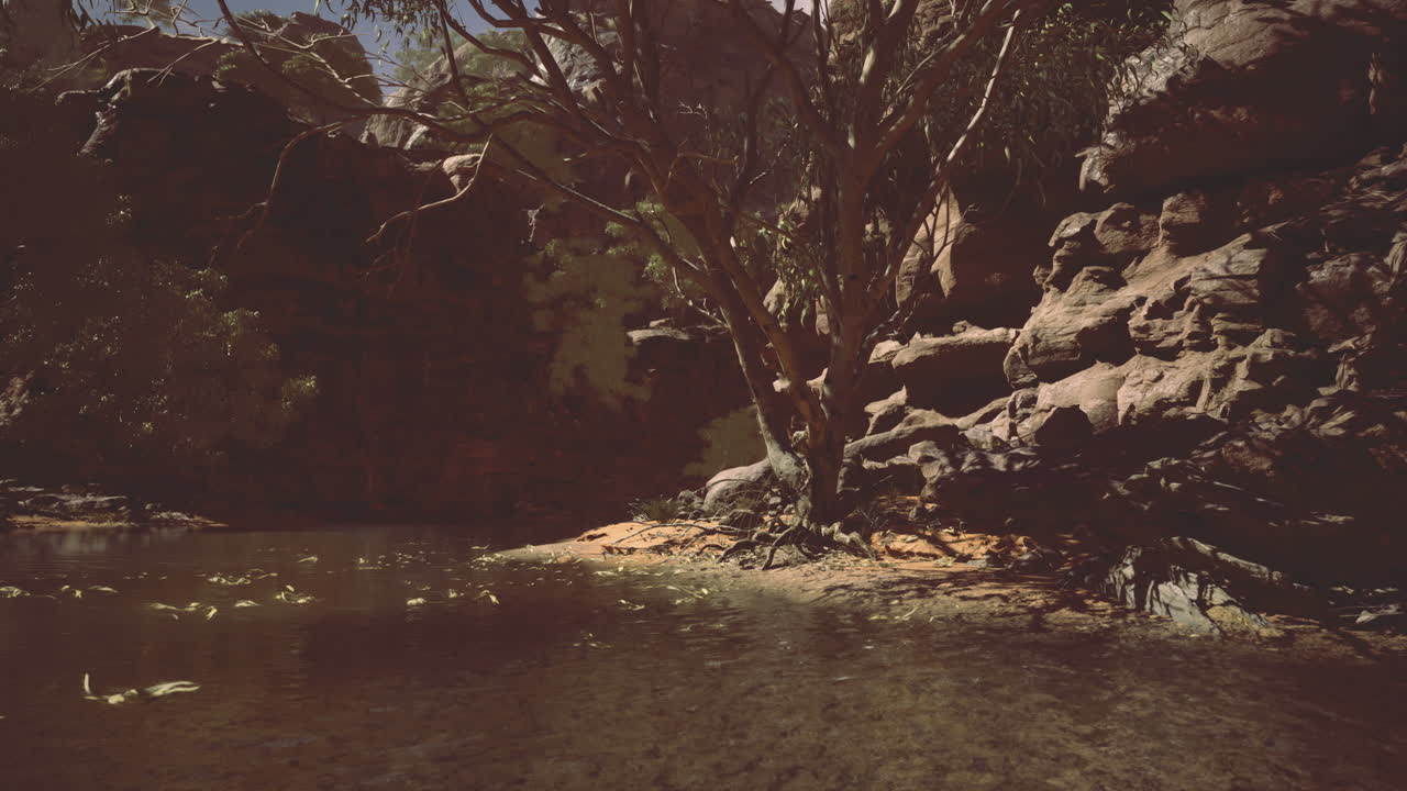 Beautiful natural oasis with clear water and rocky surroundings in daytime