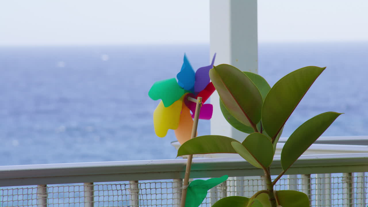 Medium close-up of a multicolored pinwheel turning in the sea breeze beside a plant. Playful, bright, and full of coastal summer energy
