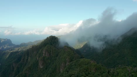 Aerial-at-Levada-dos-Balcões-lush-nature-of-Madeira-island-of-Portugal