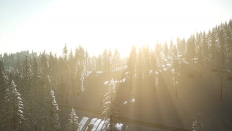 Aerial-view-of-forest-during-cold-winter-morning