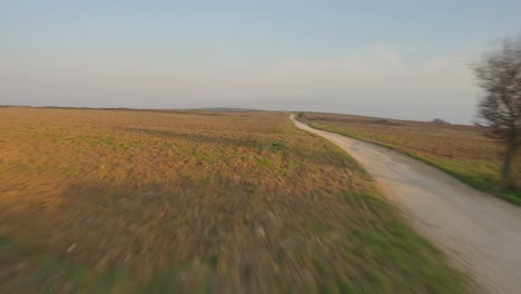 following the road with the drone, until the field