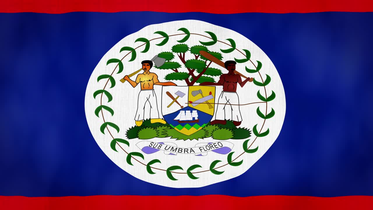 루프, 실제처럼 보이는 직물 텍스처 및 파란색 벨리즈 발 애니메이션