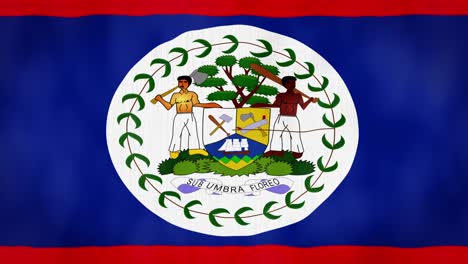 bucle, textura de tela de aspecto real y animación ondulada de la bandera de belice
