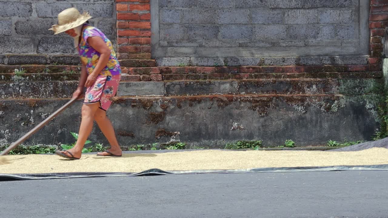 mujer secando arroz de grano al costado de la carretera.