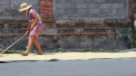 Mujer-Secando-Arroz-De-Grano-Al-Costado-De-La-Carretera