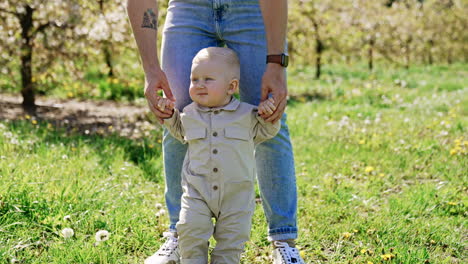 a bumblebee is flying near the little kid learning to walk outdoors. dad in jeans holds his baby son by the hands. spring sunny nature at backdrop.