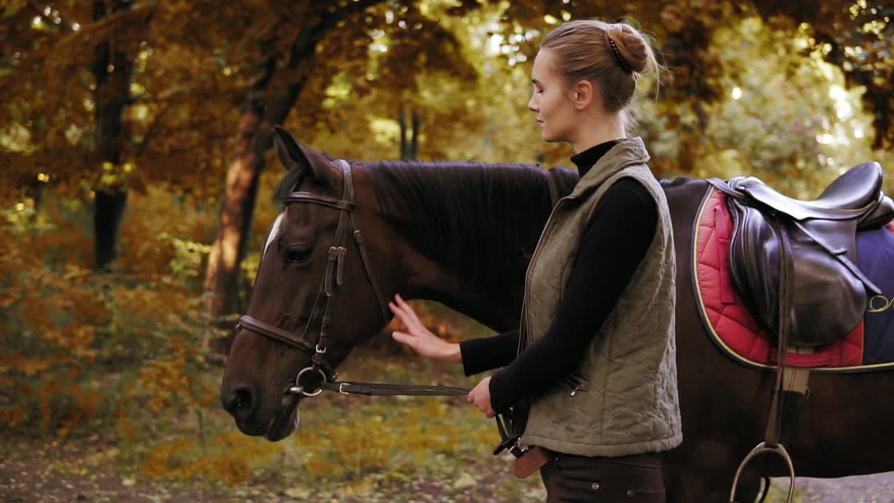 Young beautiful woman is petting a brown horse while walking together in the forest during sunny day in autumn